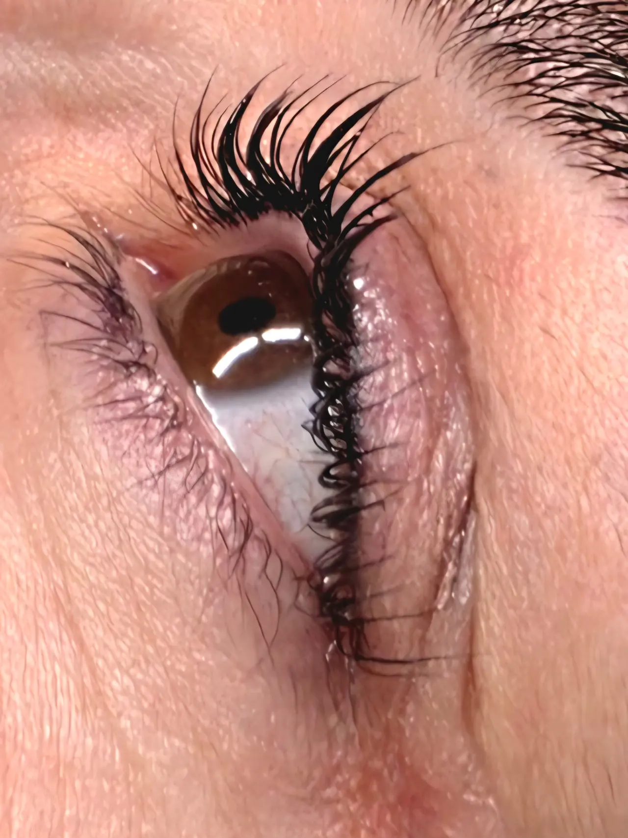 Lash Filler — détail courbure — résultat réalisé au studio Dermagrafia