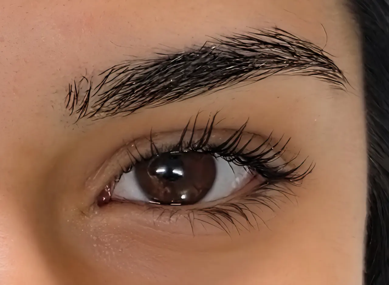 Lash Filler & Brow Lift — résultat réalisé au studio Dermagrafia